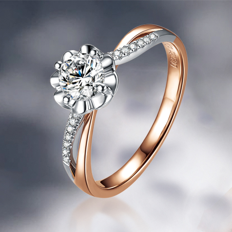 請(qǐng)?zhí)顚憳?biāo)題